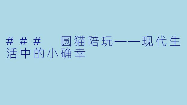 ### 圆猫陪玩——现代生活中的小确幸