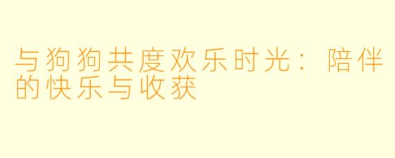 与狗狗共度欢乐时光：陪伴的快乐与收获