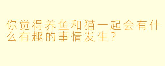 你觉得养鱼和猫一起会有什么有趣的事情发生?