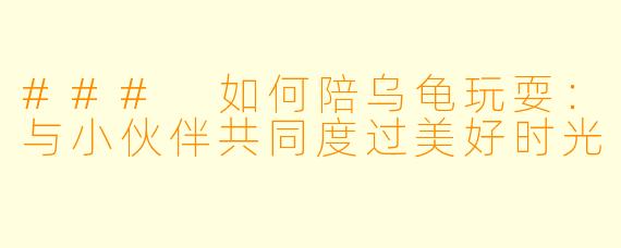 ### 如何陪乌龟玩耍：与小伙伴共同度过美好时光
