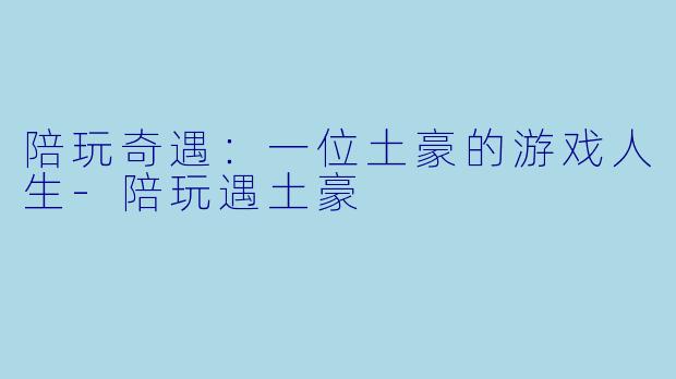 陪玩奇遇：一位土豪的游戏人生-陪玩遇土豪