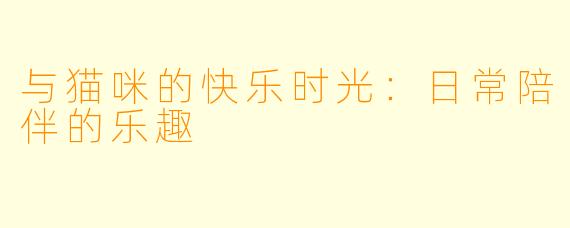 与猫咪的快乐时光：日常陪伴的乐趣