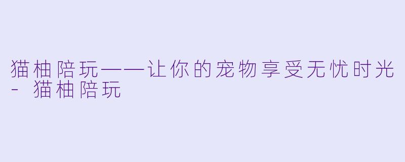 猫柚陪玩——让你的宠物享受无忧时光-猫柚陪玩