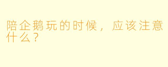 陪企鹅玩的时候，应该注意什么？