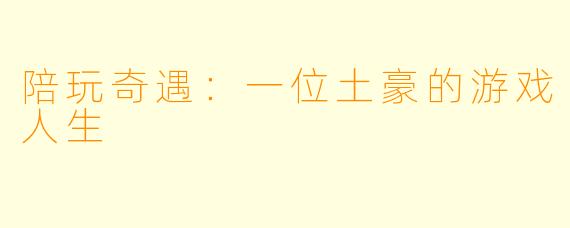 陪玩奇遇：一位土豪的游戏人生