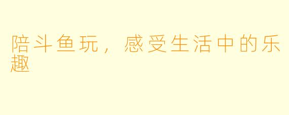 陪斗鱼玩，感受生活中的乐趣
