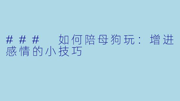 ### 如何陪母狗玩：增进感情的小技巧