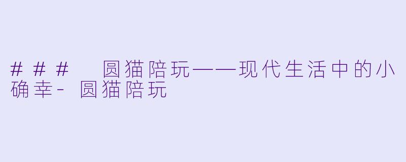 ### 圆猫陪玩——现代生活中的小确幸