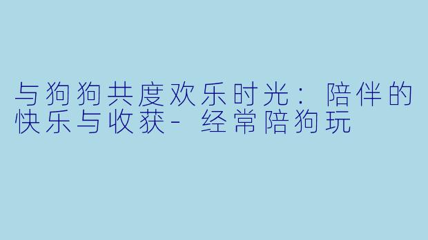 与狗狗共度欢乐时光：陪伴的快乐与收获-经常陪狗玩