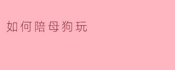 ### 如何陪母狗玩：增进感情的小技巧