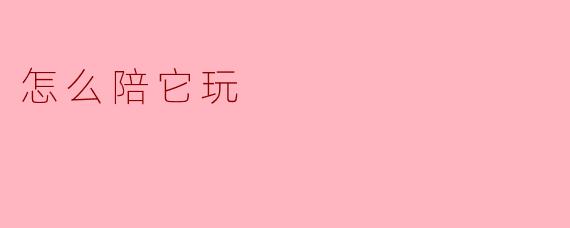 怎么陪它玩