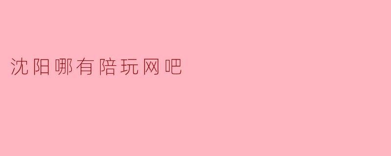 沈阳哪有可以陪玩的网吧？