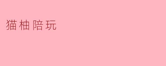 猫柚陪玩