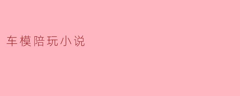 车模陪玩小说