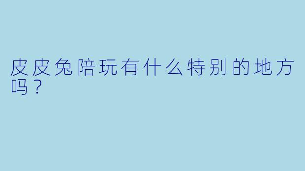 皮皮兔陪玩有什么特别的地方吗？