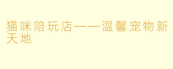 猫咪陪玩店——温馨宠物新天地
