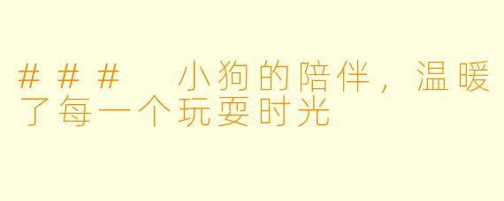 ### 小狗的陪伴，温暖了每一个玩耍时光