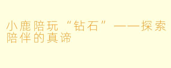 小鹿陪玩“钻石”——探索陪伴的真谛