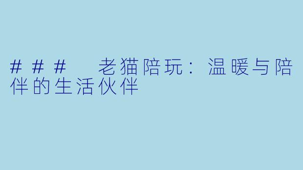 ### 老猫陪玩：温暖与陪伴的生活伙伴