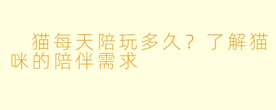  猫每天陪玩多久？了解猫咪的陪伴需求