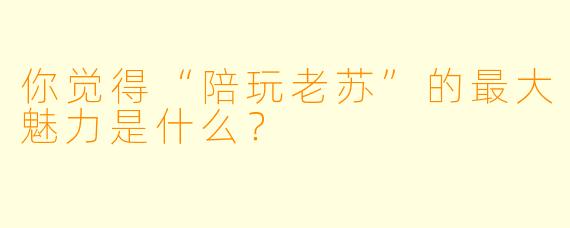 你觉得“陪玩老苏”的最大魅力是什么？