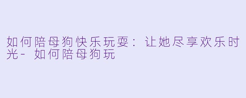 如何陪母狗快乐玩耍：让她尽享欢乐时光-如何陪母狗玩