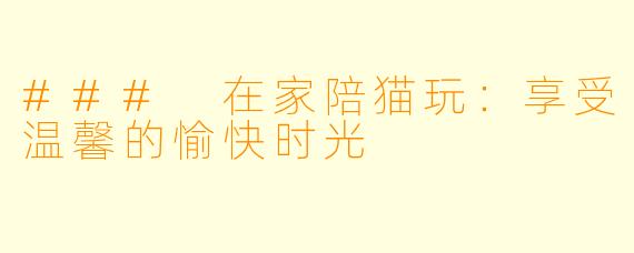 ### 在家陪猫玩：享受温馨的愉快时光