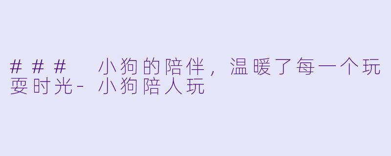 ### 小狗的陪伴，温暖了每一个玩耍时光-小狗陪人玩