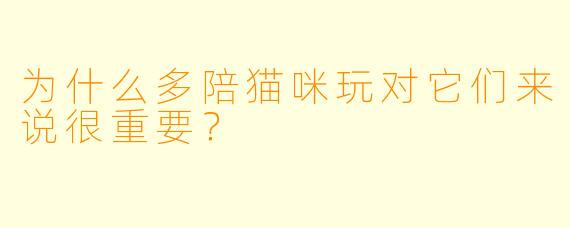 为什么多陪猫咪玩对它们来说很重要？