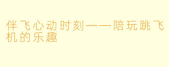 伴飞心动时刻——陪玩跳飞机的乐趣
