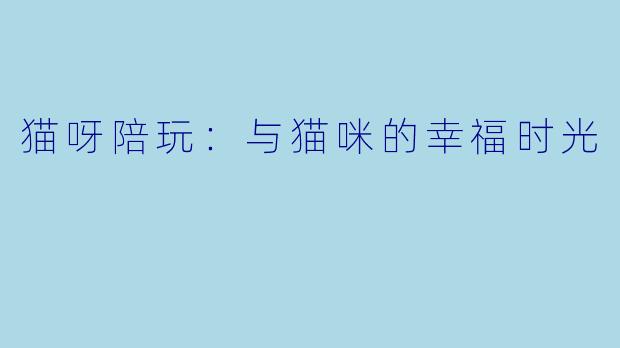 猫呀陪玩:与猫咪的幸福时光