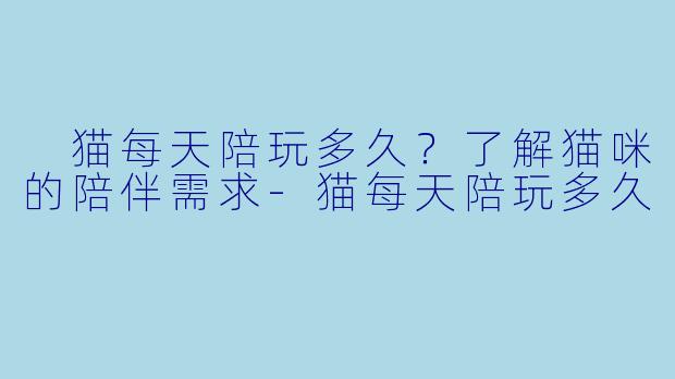 猫每天陪玩多久？了解猫咪的陪伴需求-猫每天陪玩多久