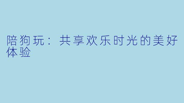 陪狗玩：共享欢乐时光的美好体验