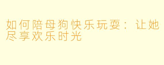 如何陪母狗快乐玩耍:让她尽享欢乐时光