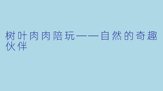 树叶肉肉陪玩——自然的奇趣伙伴