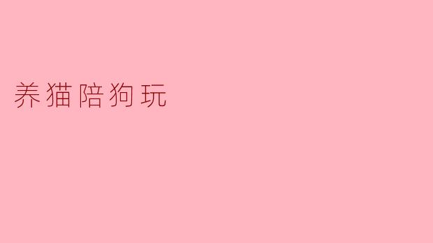 养猫陪狗玩