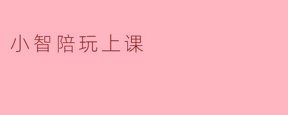 小智陪玩上课