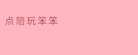 点陪玩笨笨是什么样的陪玩服务？
