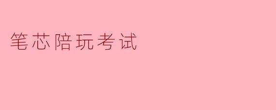 笔芯陪玩考试