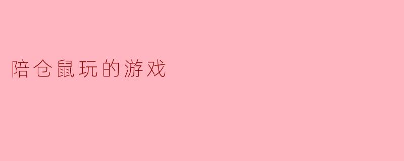 陪仓鼠玩什么游戏比较好？