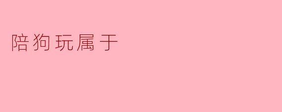 陪狗玩属于