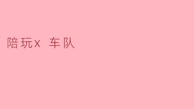 陪玩x车队