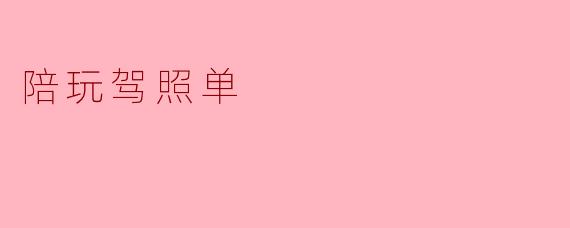 陪玩驾照单