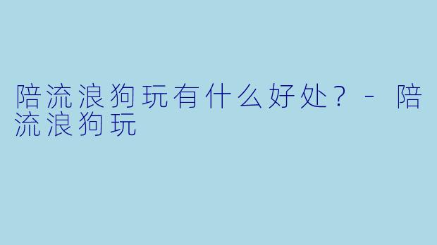 陪流浪狗玩有什么好处？-陪流浪狗玩