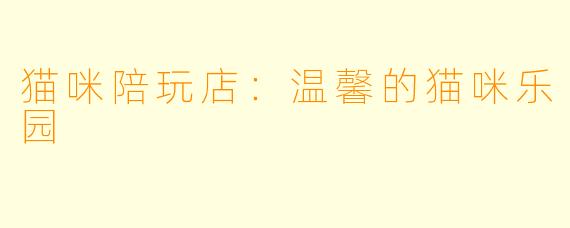 猫咪陪玩店：温馨的猫咪乐园
