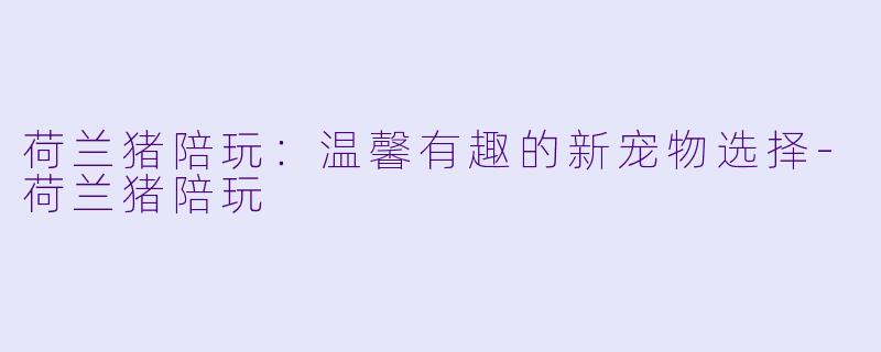 荷兰猪陪玩：温馨有趣的新宠物选择-荷兰猪陪玩