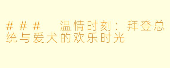 ### 温情时刻：拜登总统与爱犬的欢乐时光