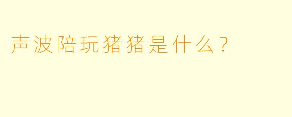 声波陪玩猪猪是什么？