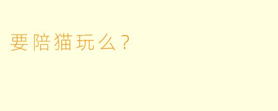 要陪猫玩么？  
