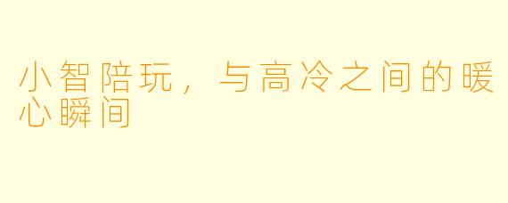 小智陪玩,与高冷之间的暖心瞬间